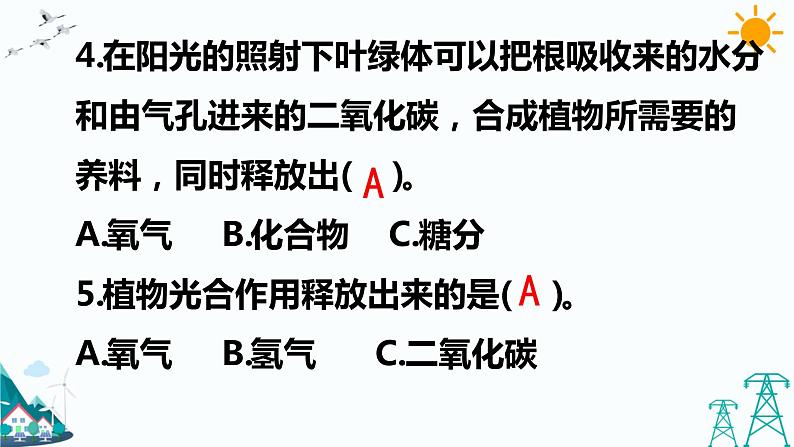 大象版五年级下册科学4.3 植物的“食物” 课件04