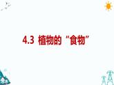 大象版五年级下册科学4.3 植物的“食物” 课件