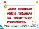 大象版五年级下册科学4.3 植物的“食物” 课件