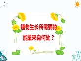 大象版五年级下册科学4.3 植物的“食物” 课件