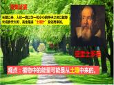 大象版五年级下册科学4.3 植物的“食物” 课件