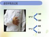 教科版(2017)科学四年级上册4.2.1《感受我们的呼吸》课件