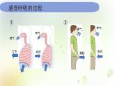 教科版(2017)科学四年级上册4.2.1《感受我们的呼吸》课件