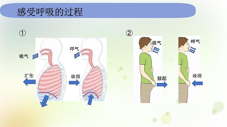 教科版(2017)科学四年级上册4.2.1《感受我们的呼吸》课件第4页