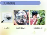 教科版(2017)科学六年级上册6.1.1《放大镜》课件