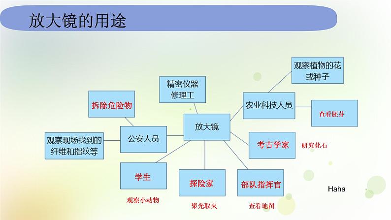 教科版(2017)科学六年级上册6.1.1《放大镜》课件05