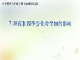 教科版(2017)科学六年级上册6.2.7《昼夜和四季变化对生物的影响》课件