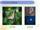 教科版(2017)科学六年级上册6.2.7《昼夜和四季变化对生物的影响》课件
