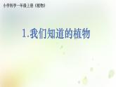 教科版小学科学一年级上册1 1 1《我们知道的植物》教学课件