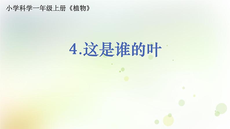 教科版小学科学一年级上册1 1 4《这是谁的叶》教学课件第1页