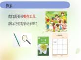 教科版小学科学一年级上册1 1 6《校园里的植物》教学课件