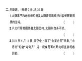 教科版科學六年級下冊第三單元綜合訓練課件