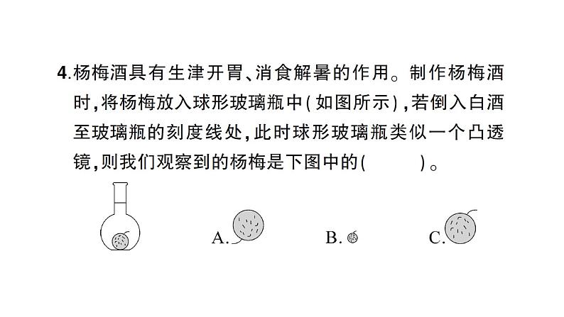 教科版科学六年级下册小升初模拟测试卷课件第8页