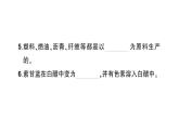 教科版科学六年级下册第四单元物质的变化综合训练课件