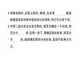 教科版科学六年级下册第二单元生物的多样性期末复习课件