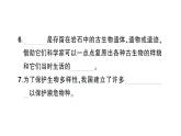 教科版科學六年級下冊第二單元生物的多樣性綜合訓練課件