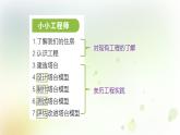 教科版(2017)科学六年级下册第一单元复习课件