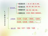 教科版(2017)科学六年级下册第一单元复习课件