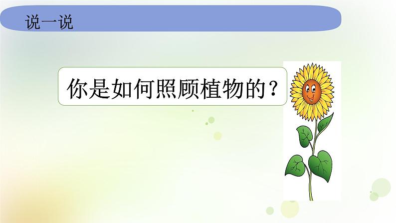 教科版小学科学一年级上册1 1 5《植物是活的吗》 教学课件07