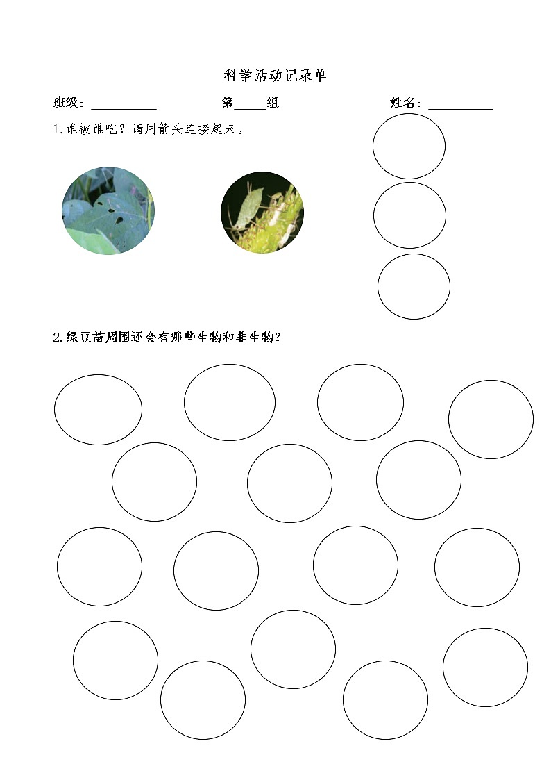 1.6《食物链和食物网》实验记录单学案01