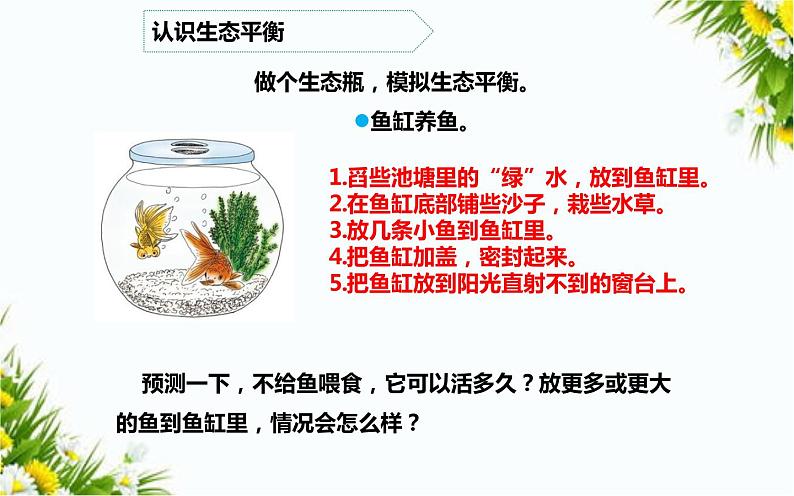 大象版五年级下册科学 4.5 生态平衡（课件PPT+教案）04