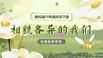 小学科学教科版 (2017)六年级下册5.相貌各异的我们精品课件ppt