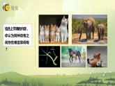 2.4多种多样的动物（课件）教科版（2017）科学六年级下册