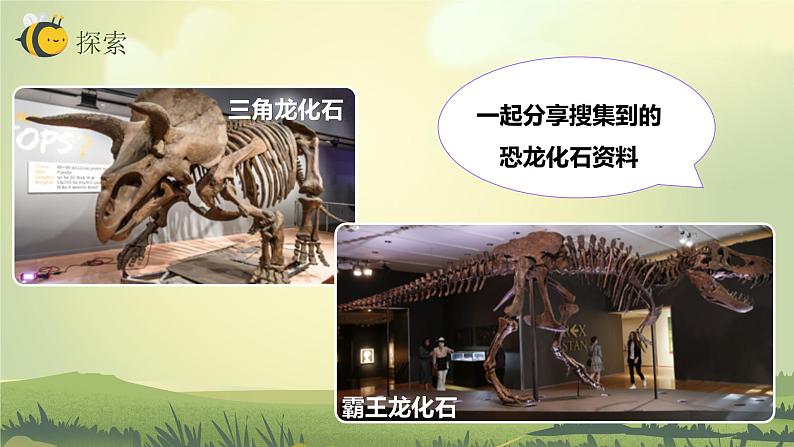 2.6古代生物的多样性（课件）教科版（2017）科学六年级下册06