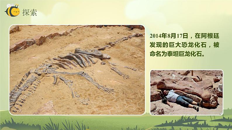 2.6古代生物的多样性（课件）教科版（2017）科学六年级下册08