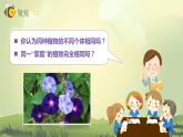 2.3形形色色的植物（课件）教科版（2017）科学六年级下册