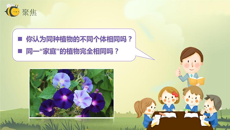 2.3形形色色的植物（课件）教科版（2017）科学六年级下册03