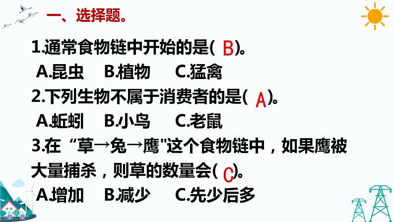 大象版五年级下册科学4.4 食物链 课件02