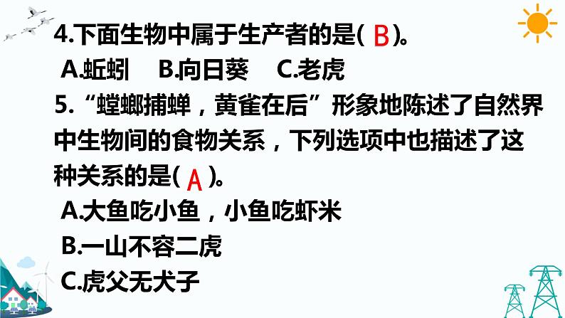 大象版五年级下册科学4.4 食物链 课件03