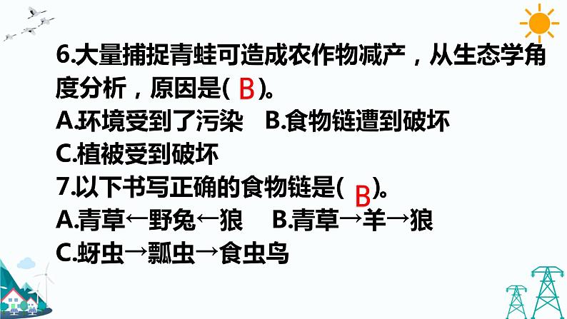 大象版五年级下册科学4.4 食物链 课件04