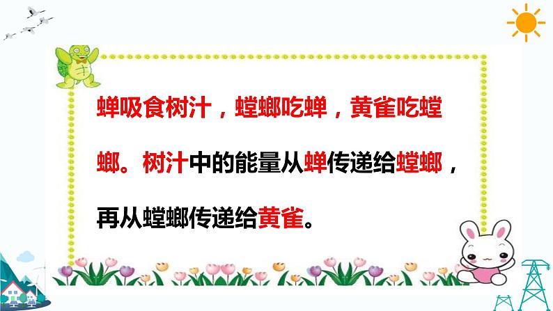 大象版五年级下册科学4.4 食物链 课件03