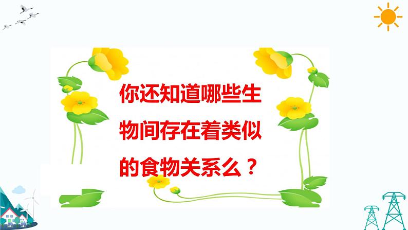 大象版五年级下册科学4.4 食物链 课件05