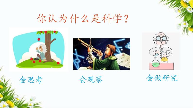 新教科版五年级下册科学全册课件第4页