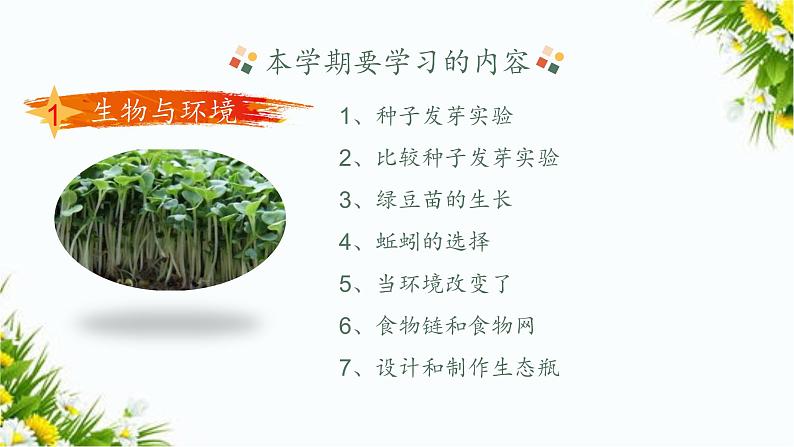 新教科版五年级下册科学全册课件第7页