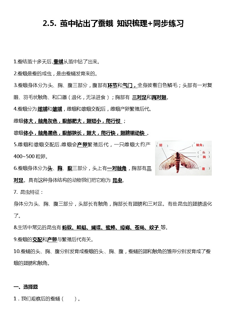 2.5《茧中钻出了蚕蛾》（知识梳理+同步练习）2021-2022学年小学科学三年级下册01