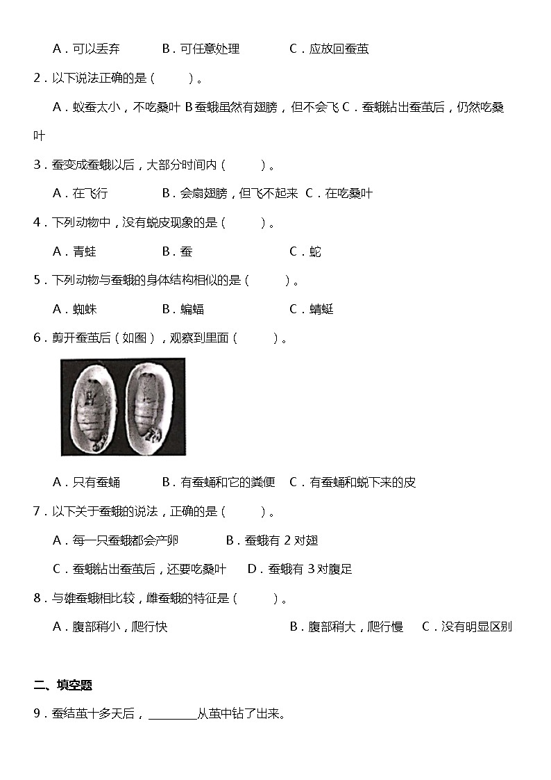 2.5《茧中钻出了蚕蛾》（知识梳理+同步练习）2021-2022学年小学科学三年级下册02