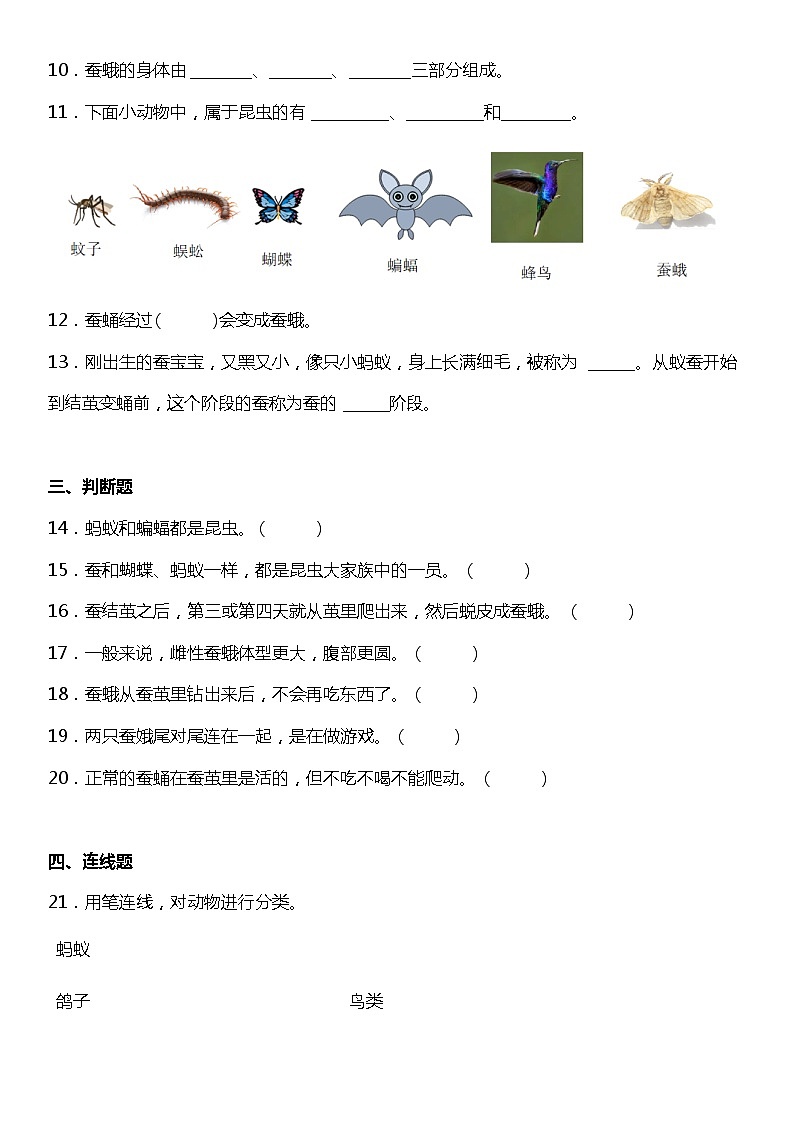2.5《茧中钻出了蚕蛾》（知识梳理+同步练习）2021-2022学年小学科学三年级下册03