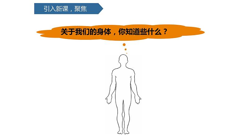 教科版科学二年级下册我们自己 1 观察我们的身体  完整版教学PPT课件05