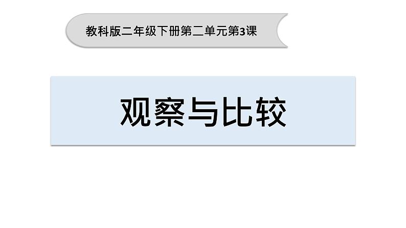 教科版科学二年级下册我们自己 3 观察与比较  完整版教学PPT课件01