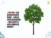 大象版五年级下册科学 4.3《植物的“食物”》课件PPT