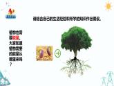 大象版五年级下册科学 4.3《植物的“食物”》课件PPT