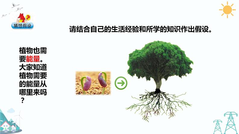 4.3《植物的“食物”》课件第3页