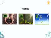 大象版五年级下册科学 4.3《植物的“食物”》课件PPT