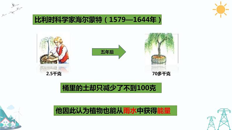 4.3《植物的“食物”》课件第6页