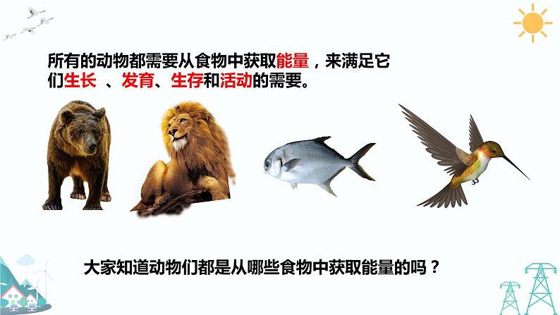 4.2《动物的食物》课件第3页