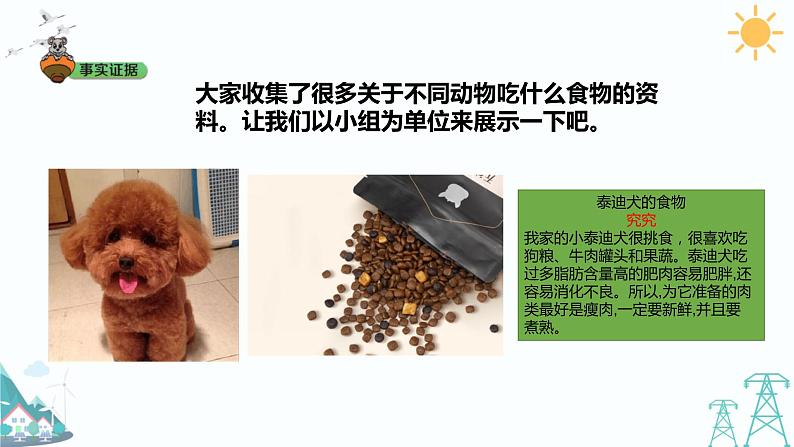 4.2《动物的食物》课件第6页